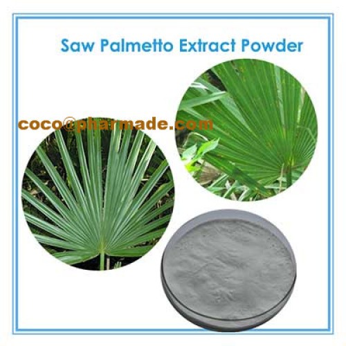 Healing prostate and stopping hair loss fatty acids saw palmetto extract